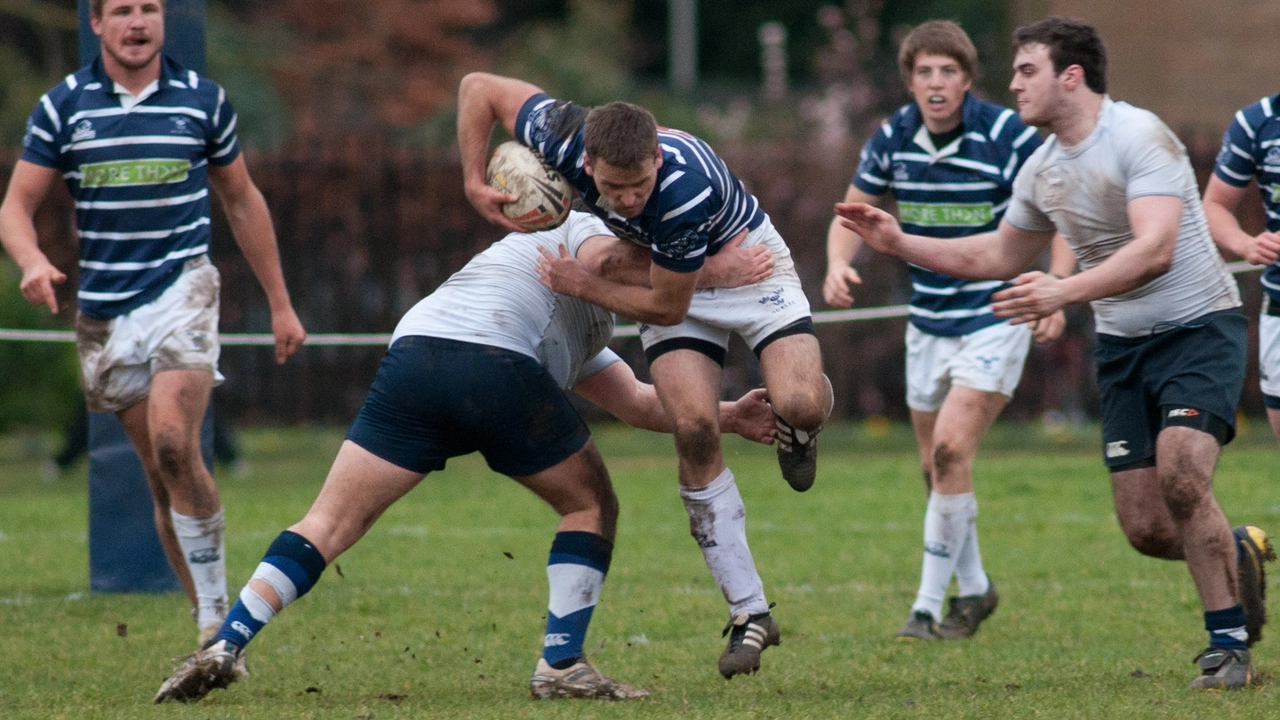 Which has more concussions, rugby league or union?